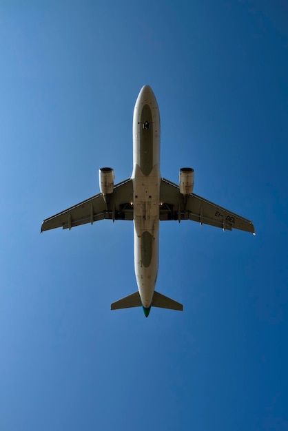 空を飛んでいるイタリアの飛行機