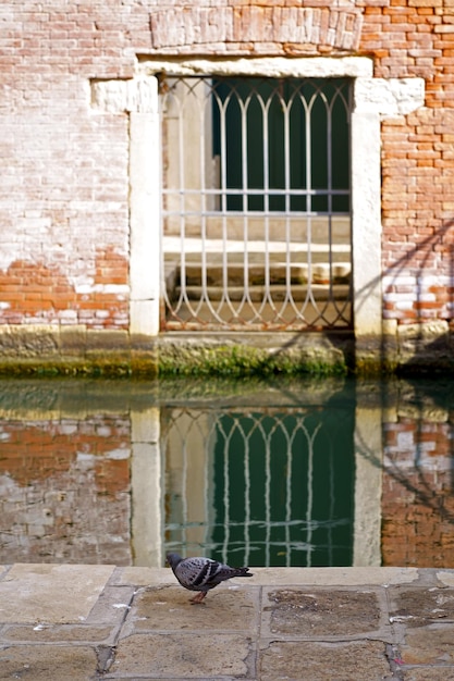 Foto italia close-up di facciate di edifici a venezia uno sguardo al vecchio arco graffiato nel muro vicino all'acqua nel canale