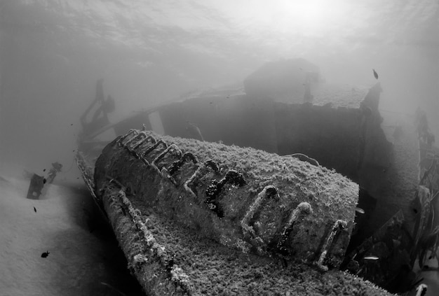 イタリア、地中海、沈没船 - フィルムスキャン