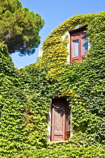 Italy - a Middle Age castle covered by ivy