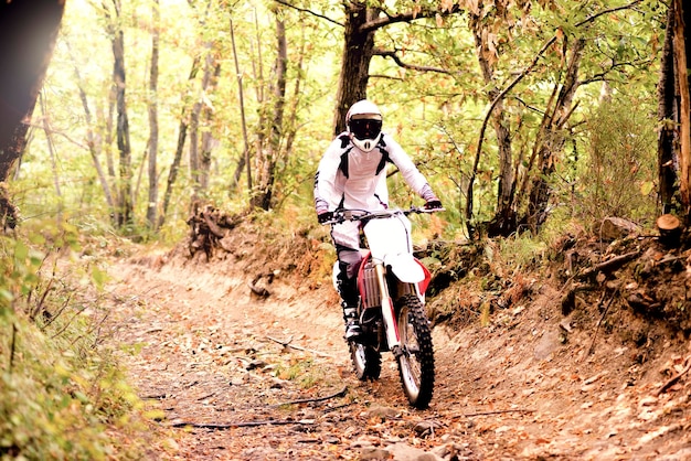 Italy, Motocross biker rinding in Tuscan forest