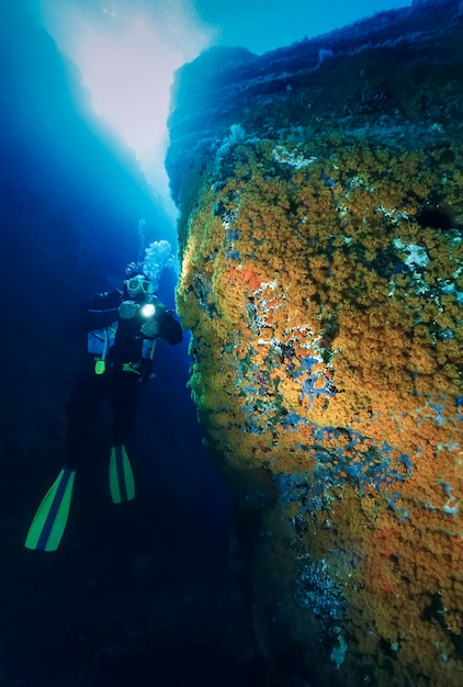 Italy, Ponza Island, Tyrrhenian sea, U.W. photo, scuba diver and a rocky wall full of yellow Anthozoans (Parazoanthus) - FILM SCAN