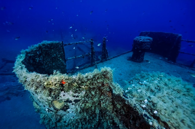 Italy, ponza island, u.w. photo, wreck diving, sunken ship (film scan)