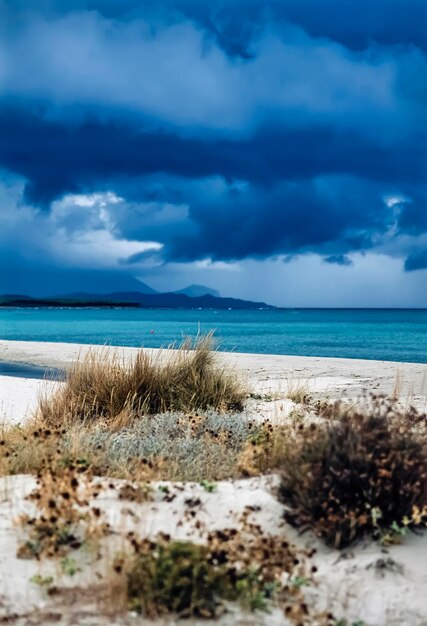 Italy, Sardinia, Arzachena Gulf (Maddalena), view of the coastline in a stormy day - FILM SCAN