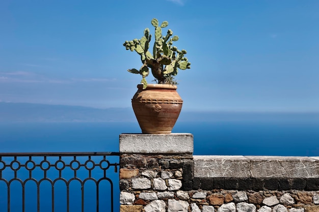 Italy Sicily Castelmola Taormina view of the Ionian sea and Calabria coast prickly pears in a vase