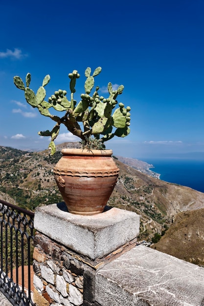 Photo italy sicily castelmola view of the sicilian eastern coastline prickly pears in a vase