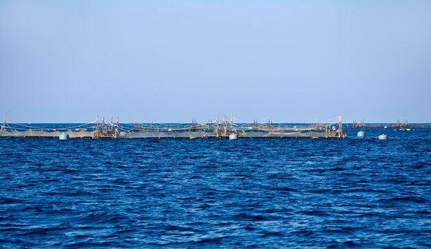 Italy, Sicily, Mediterranean sea, aquaculture nets off the coast of Portopalo di Capo Passero (Siracusa province)