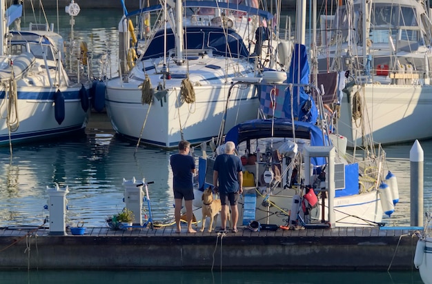 Italy, Sicily, Mediterranean sea, Marina di Ragusa (Ragusa Province); 15 November 2020, people with a dog and sailing boats in the port - EDITORIAL