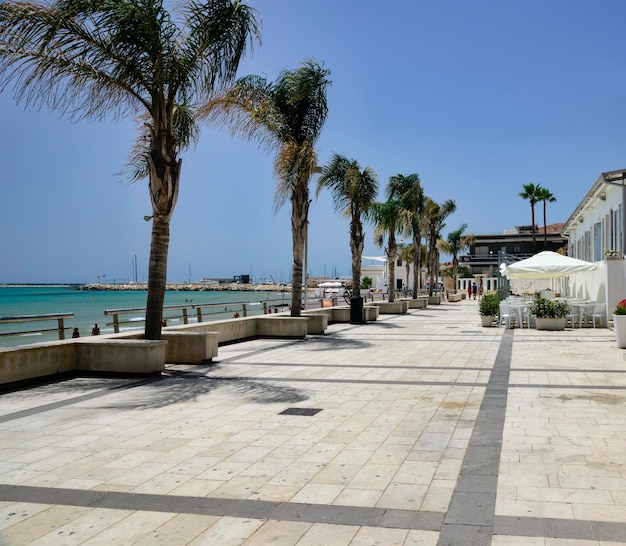 Italy, Sicily, Mediterranean sea, Marina di Ragusa (Ragusa Province), view of the seafront with palm trees