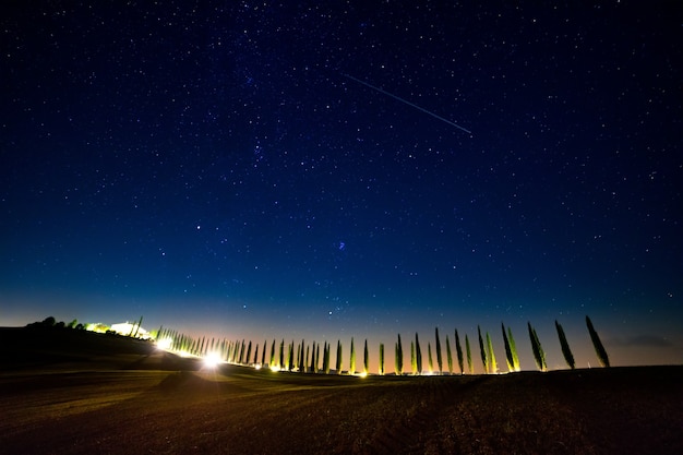 イタリア。トスカーナ。バックライト付きのヒノキの路地の上の雲ひとつない星空