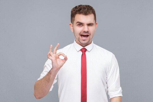 Its Ok. Portrait of young funny handsome man in white shirt and tie standing with Ok sign and looking at camera winking. indoor isolated on gray background.