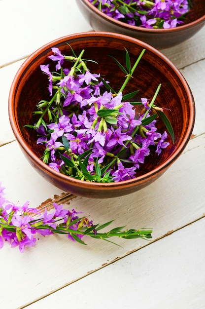 Ivan tea in a clay bowl. Blooming willow herb in herbal medicine.Russian tea