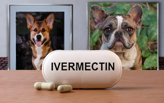 Photo ivermectin