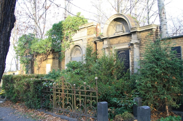 Ivy groeit op de muur.
