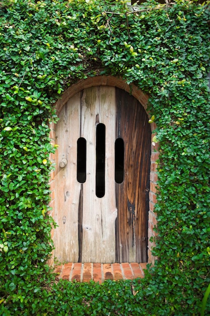 Foto ivy sulla porta di legno dell'edificio