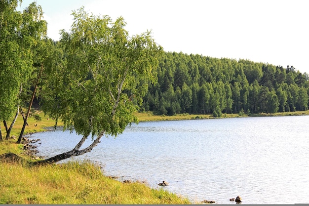 Izhbulat lake near Forest