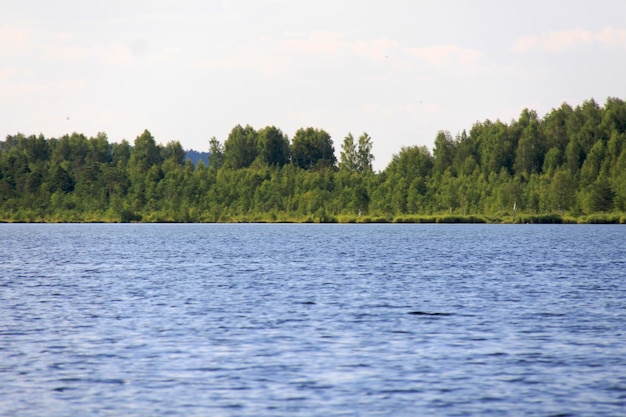 Озеро Ижбулат возле леса