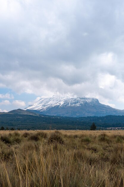 눈으로 덮인 Iztaccihuatl 화산과 노란 풀이 있는 주변 계곡