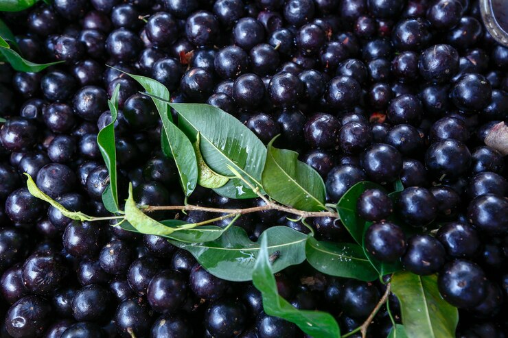 거리 시장 마구간에 Jaboticaba, 브라질 과일