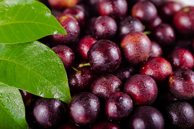 Jabuticaba a fruit full of healthy properties closeup view