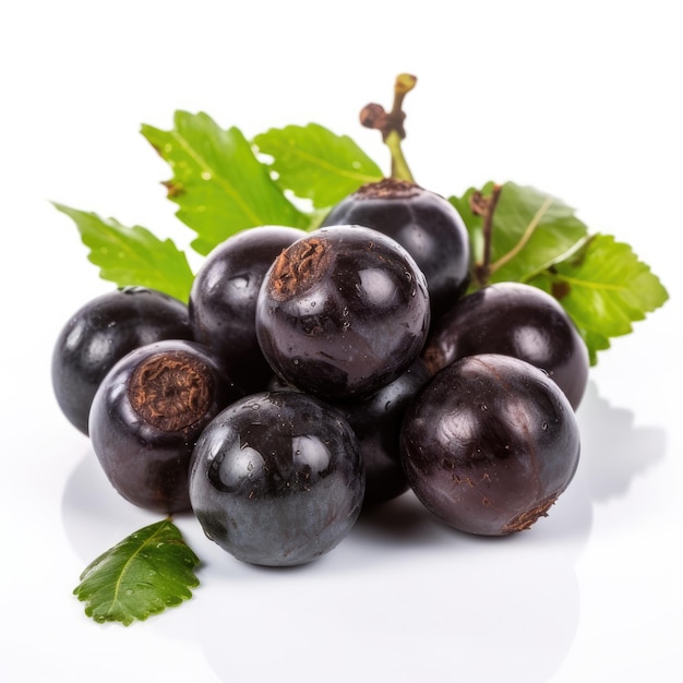 Jabuticaba 과일 흰색 배경에 고립