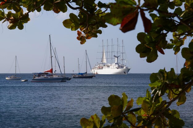 Jachten op ankerplaats Caribische zee turkoois water sneeuwwitte jachten in Martinique