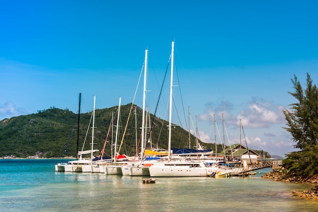 Jachtenjachthaven bij het eiland Seychellen van Praslin