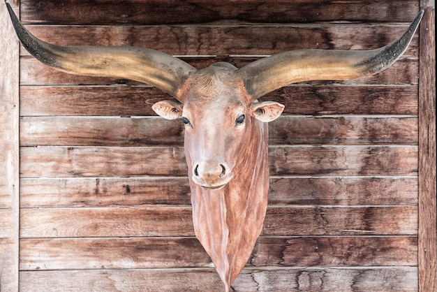 Foto jachttrofee op houten muur