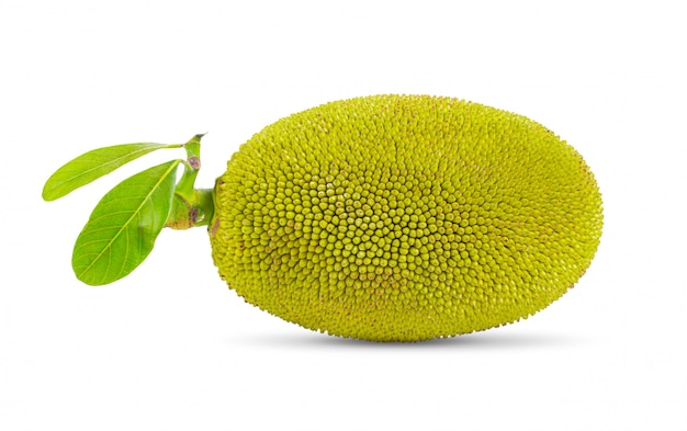 Jack fruit on white table.