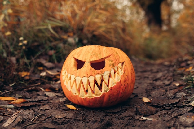 Jack o lantern on autumn leaves in forest