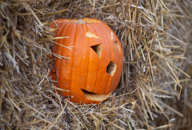 Jack o lantern on hay