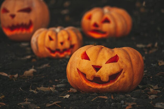 Jack o lantern on pumpkin