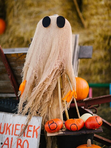 Photo jack o lantern scarecrow at the field