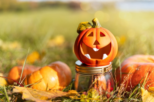 Jack'O-pompoenlamp, trick or treat op Halloween-dag