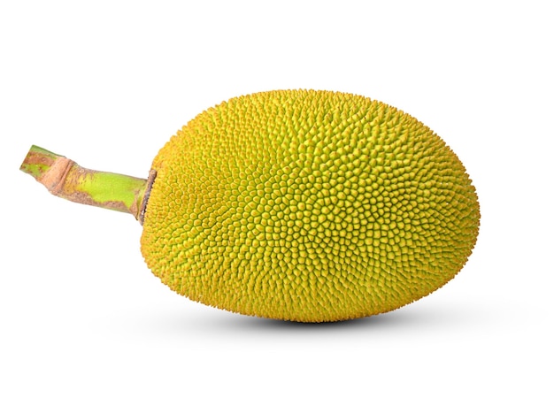 Jackfruit isolated on white background