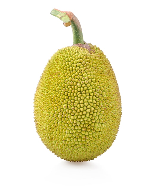 Jackfruit isolated on white background