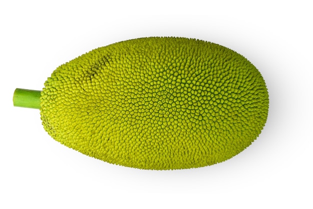 Jackfruit isolato su uno spazio bianco