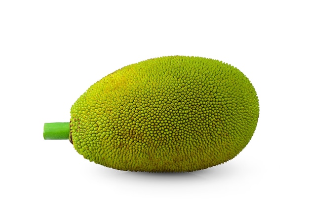 흰색 공간에 고립 된 Jackfruit