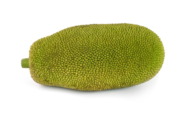 Jackfruit isolated on white