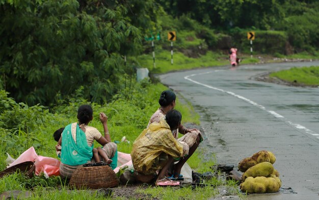 Jackfruit sellers