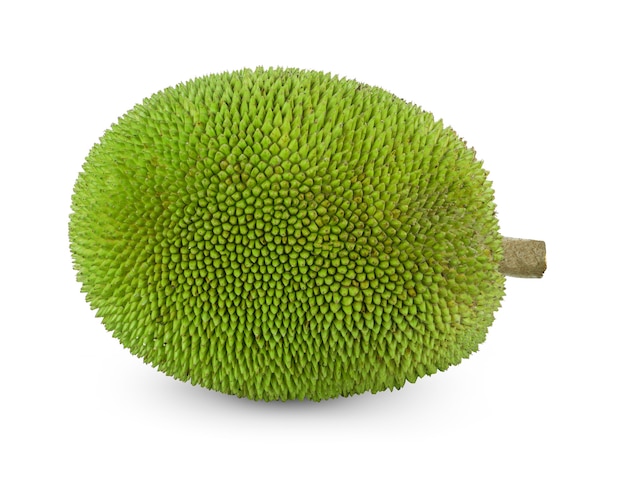 Photo jackfruit with isolated on white background