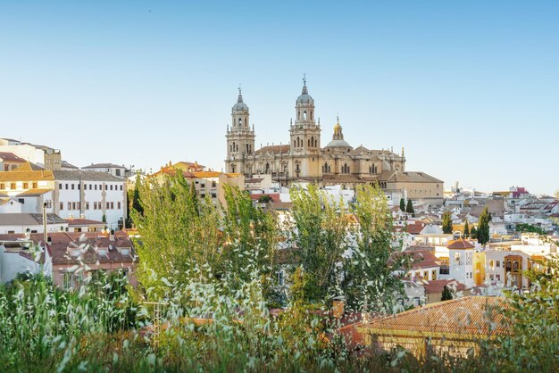 Jaen city view with jaen cathedral jaen spain