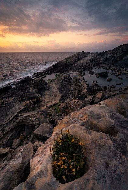 Jaizkibel mountain coast, next to Hondarribia, Basque Country.