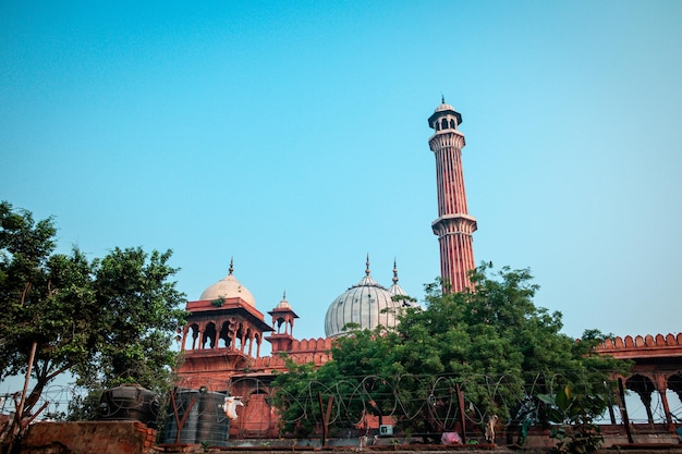 Jama Masjid-moskee Old Delhi India