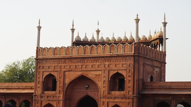 Jama Masjid, Old Delhi, India