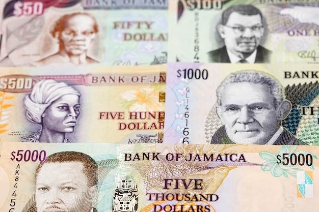 Jamaican dollar a business background