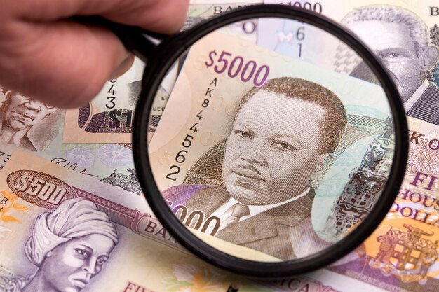 Jamaican dollars in a magnifying glass