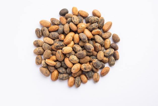 Jamalgota o jayapala croton tiglium seed è un medicinale ayurvedico noto anche come purging croton