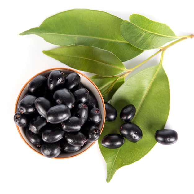 Jambolan-pruim of java-pruim (syzygium cumini)