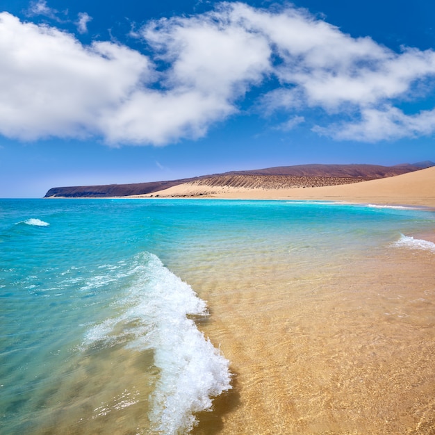 ハンディアビーチRisco el Paso Fuerteventura